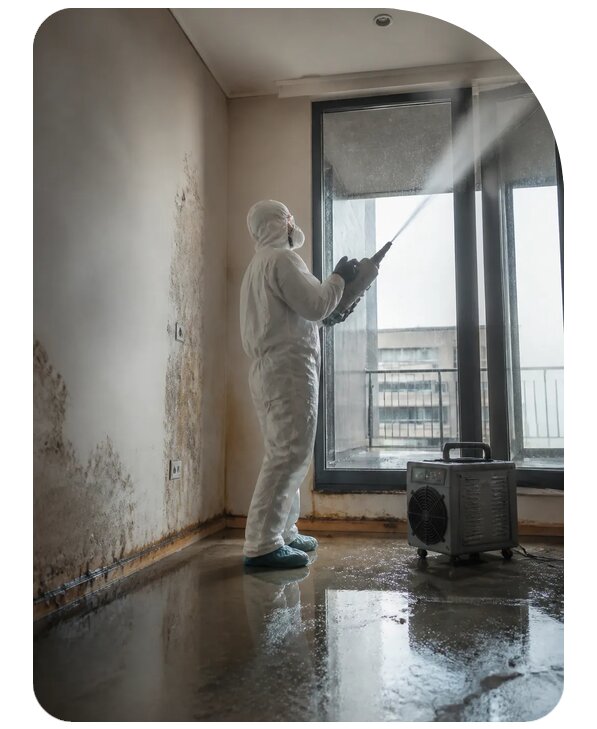 Устранение запаха после затопления в Котласе по цене от 5182 р. | Сенат-Ктл